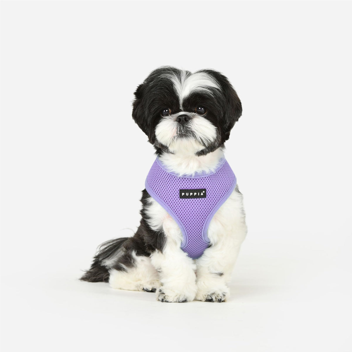 Soft Dog Harness No Choke Over (Violet / X-Large)