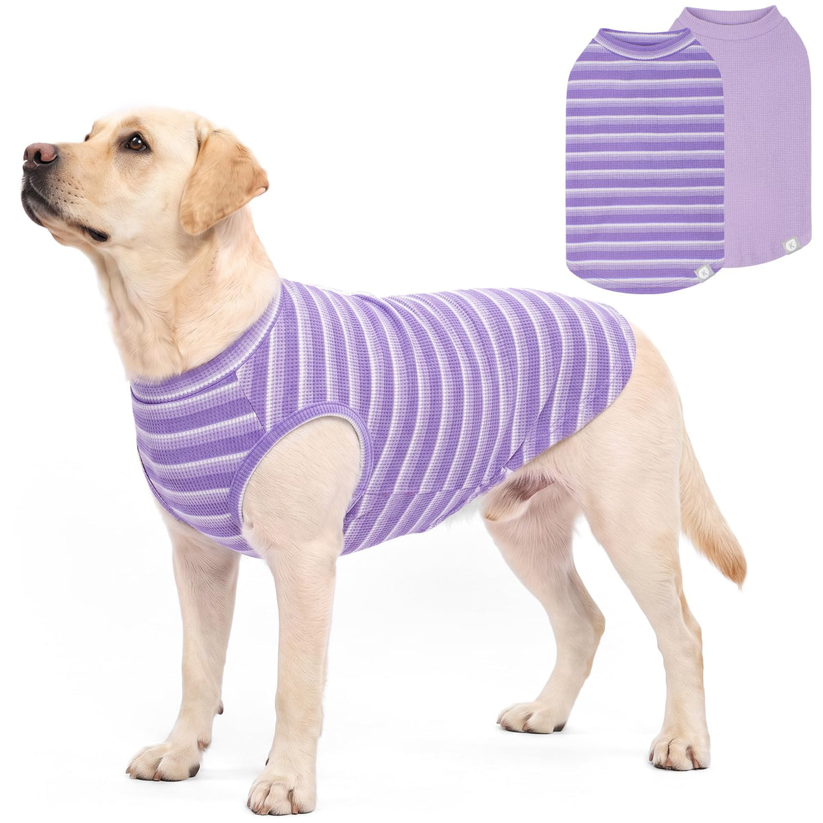 2Pack Waffle Dog Shirt for Medium Large Dogs Striped Dog Sweater (XX-Large (28-50lbs) / 2Pack(Purple+Striped))