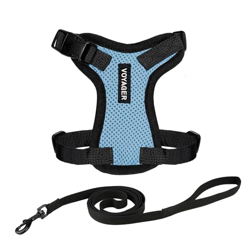 Voyager Step in Lock Cat Harness & Leash Set (Baby Blue/Black Trim / XXS (Chest: 11.5 - 14"))
