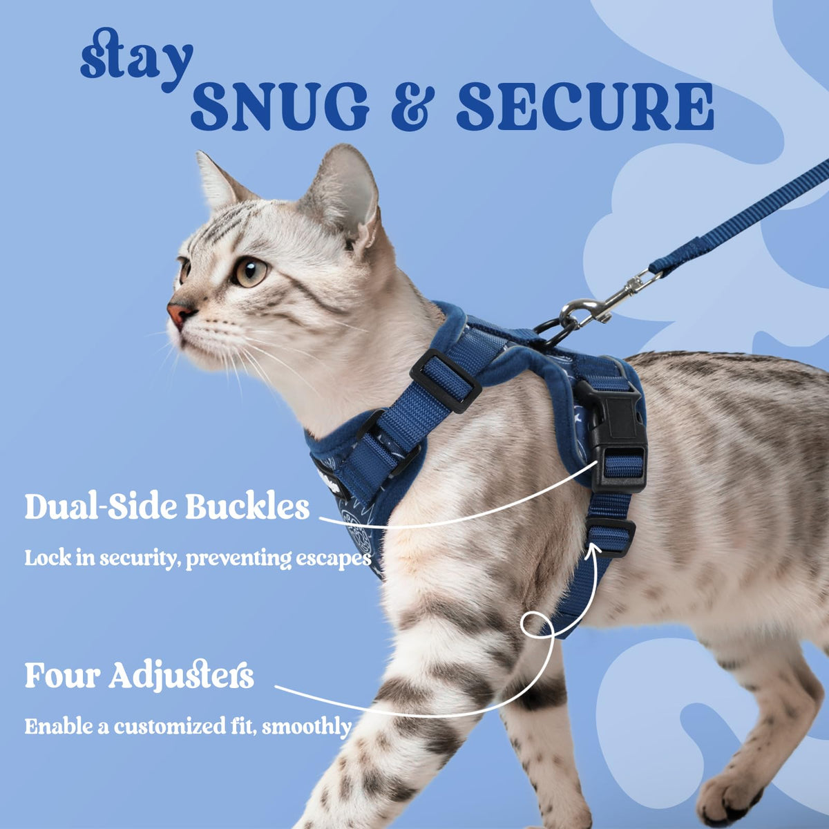 Cat Harness and Leash Set (Xxs / Cosmic Ace)