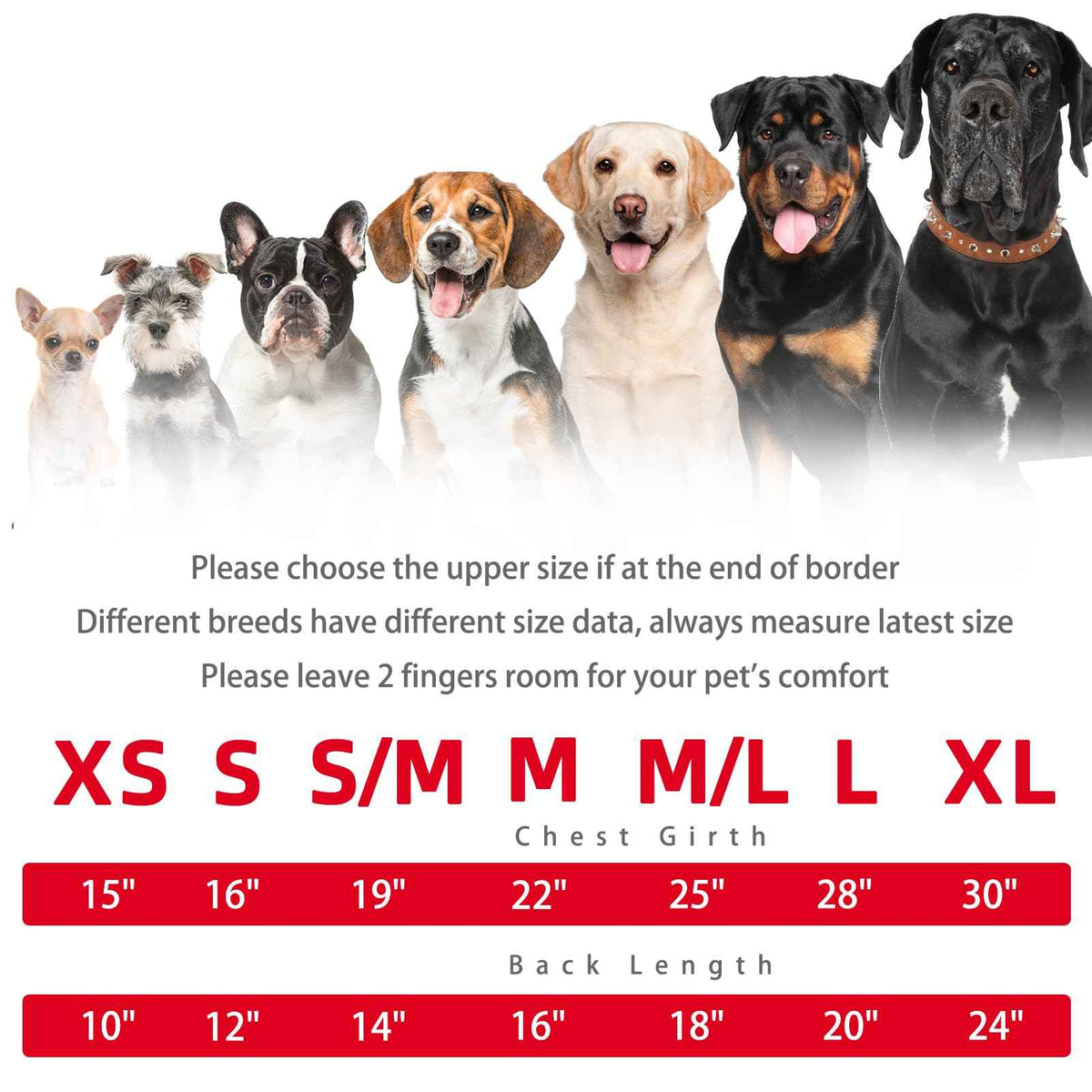 Dog Christmas Sweaters for Large Medium Small Dogs (M - Chest 22", Back 16" / Red&Green)