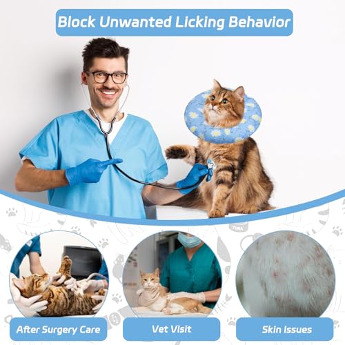 Cat Cone Collar Soft (Blue Fish / Medium)