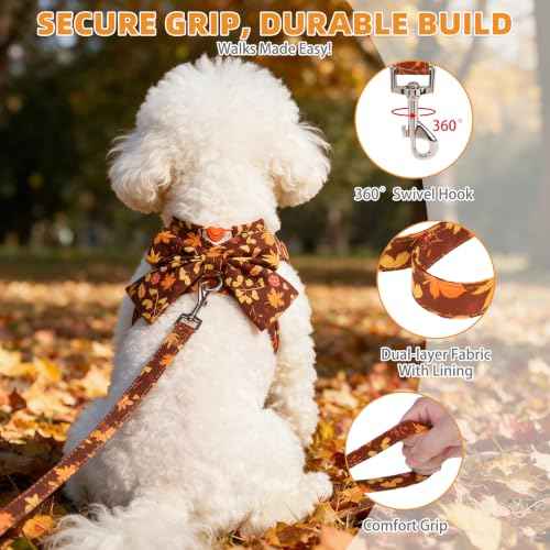 Fall Dog Harness and Leash Set for Small Medium Dogs Cats (Brown / M (Chest Girth: 16.1"-18.9"))