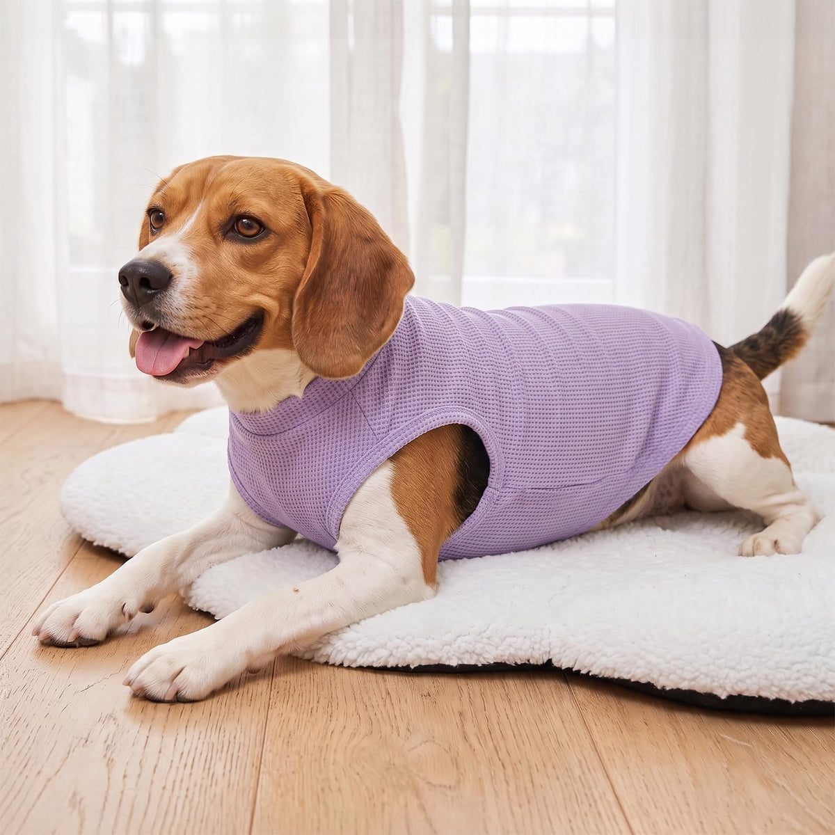 2Pack Waffle Dog Shirt for Small Dogs Striped Dog Sweater Tank Top (Small (4-7lbs) / 2Pack(Purple+Striped))