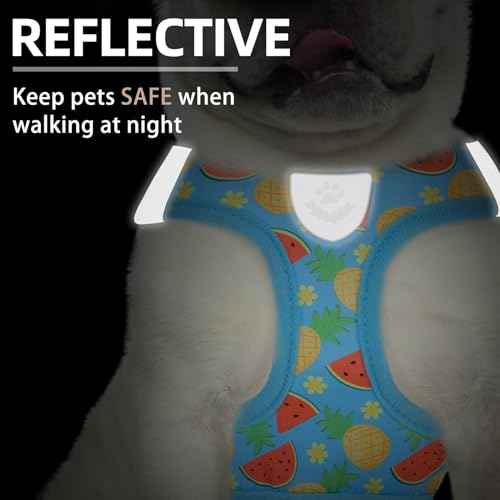 Dog Harness Collar and Leash Set No Pull for Small Medium Sized (Sky Blue / S (CHEST 14.5"-16"))