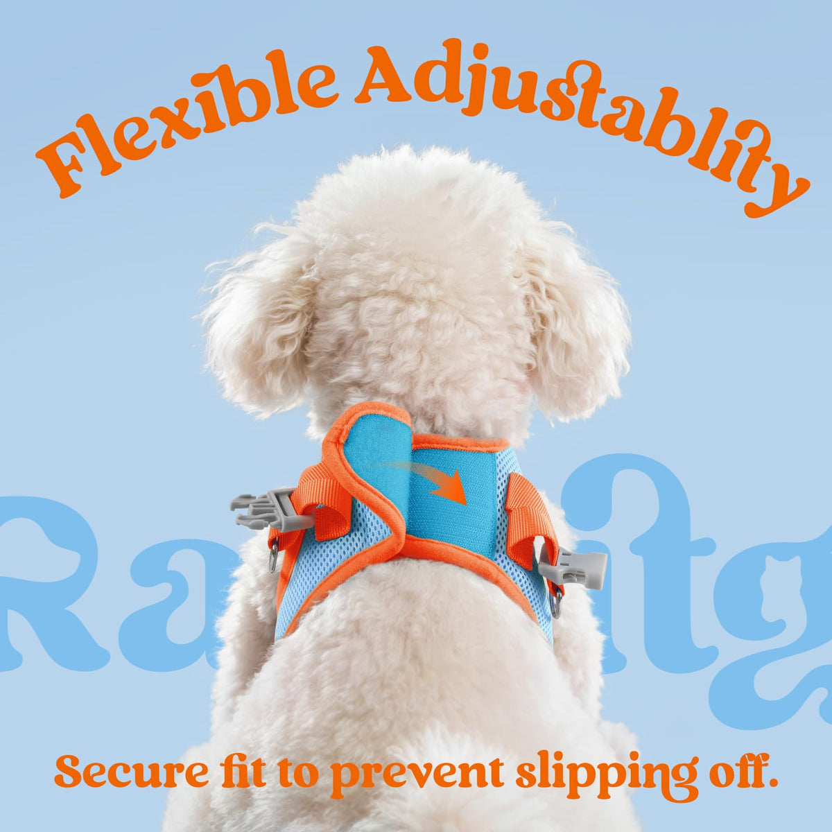 Dog Harness Small Sized and Leash Set (Blue & Orange / S (Chest: 15.1"-16.5"))