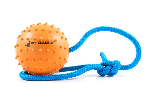 Nero Ball Classic (Large (Pack of 1))