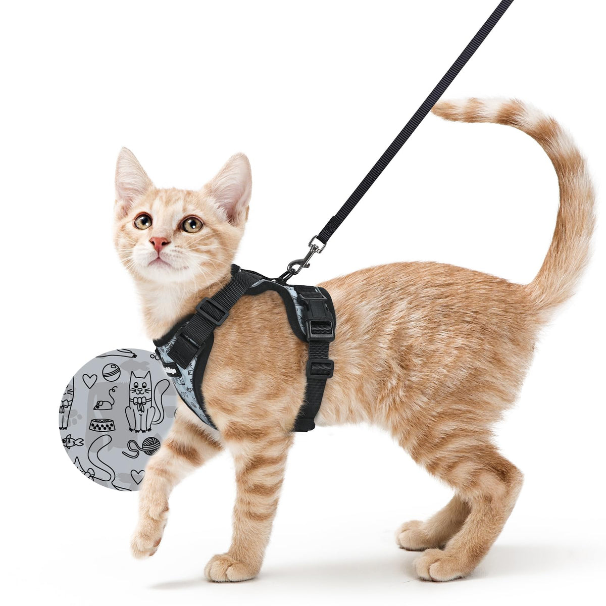 Cat Harness and Leash Set (Xs / Doodle Gray)