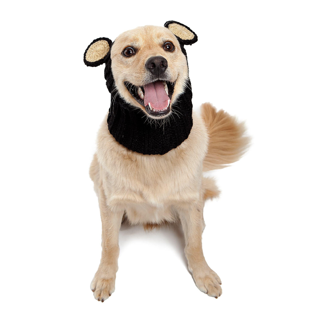 Black Bear Costume (Medium / Black Bear)