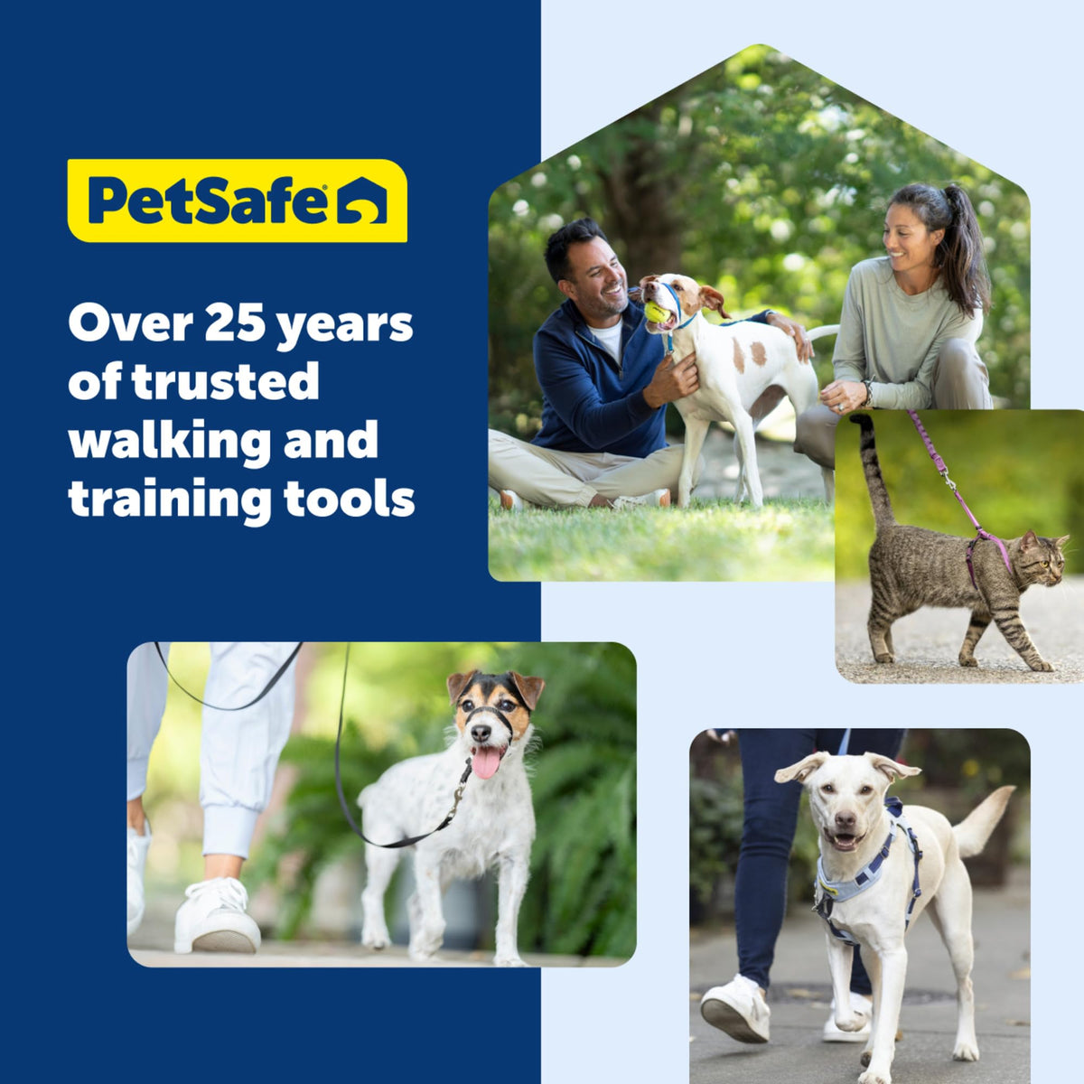 Easy Walk Harness (Medium/Large / Black)
