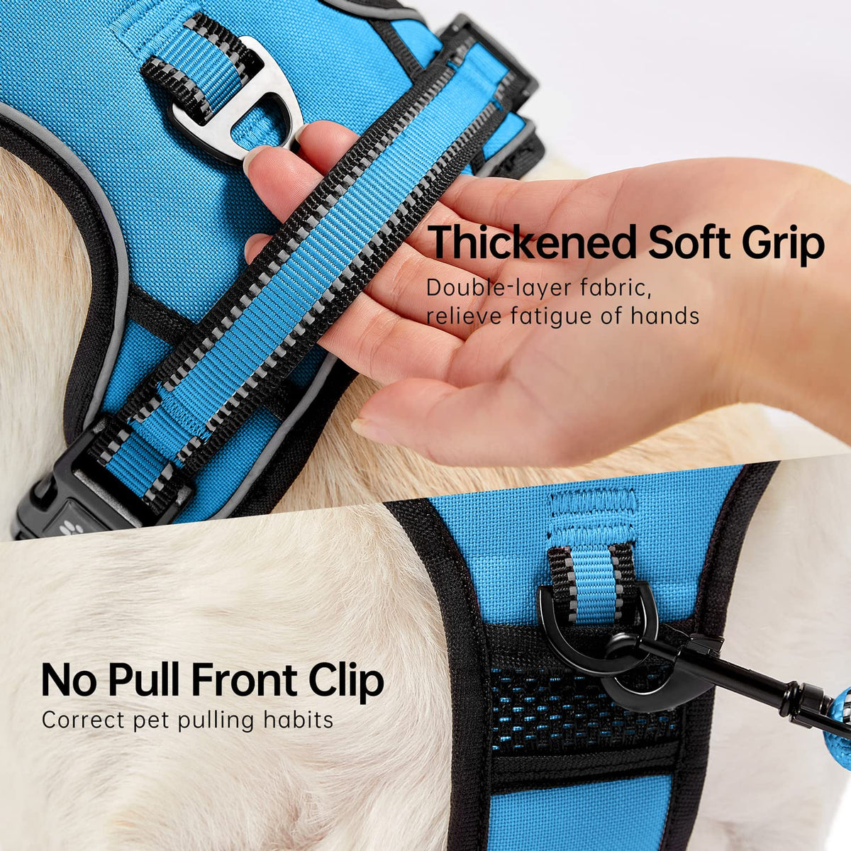 Dog Harness for Small Sized Dog (Blue / X-Small)