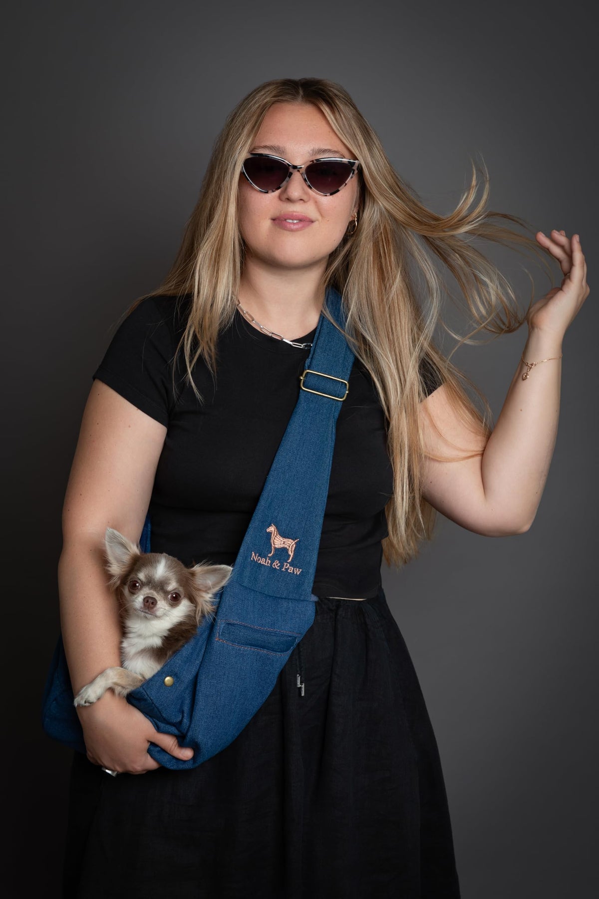Dog Sling Carrier for Small Dogs 3 (Light Blue (Denim) / 15.0"L x 6.0"W x 5.5"H)