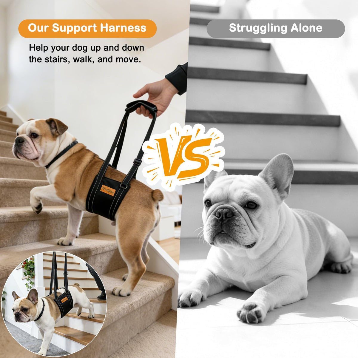 Dog Lift Harness (M)