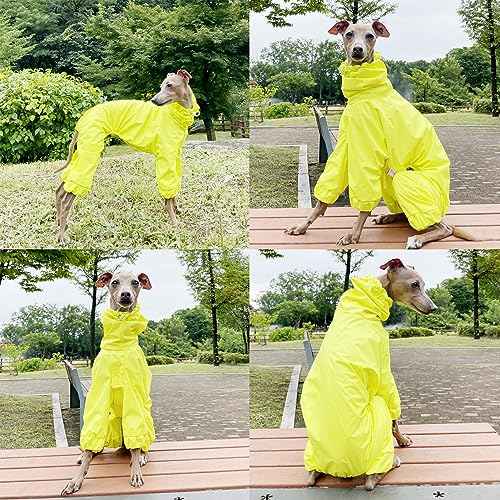 D Doggy Star Italian Greyhound Raincoat Waterproof Jacket Windbreaker Clothes Whippet for Dog (M / Raincoat Yellow)