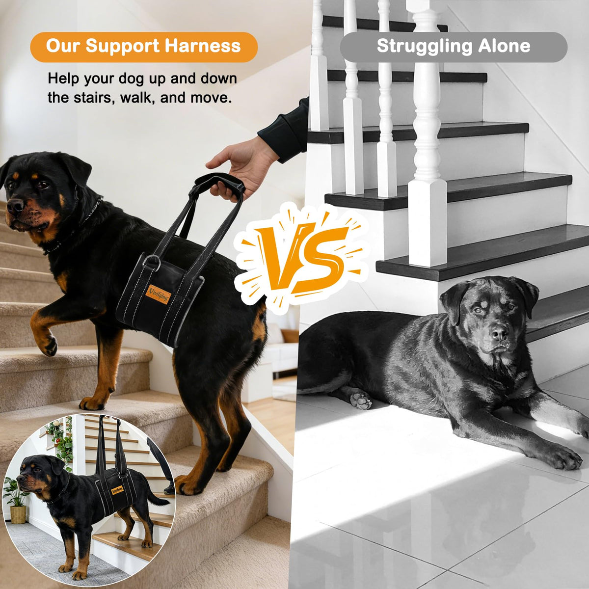 XL Dog Mobility Sling (XL)