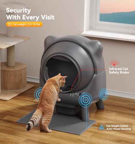 Automatic Litter Box