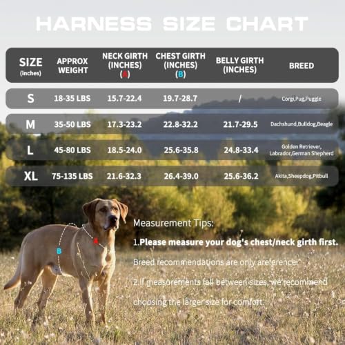 Dog Harness Tactical No Pull for Small Sized Dog with Handle (Black / S(Neck:16-22",Chest:20-28"),18-35 lbs)