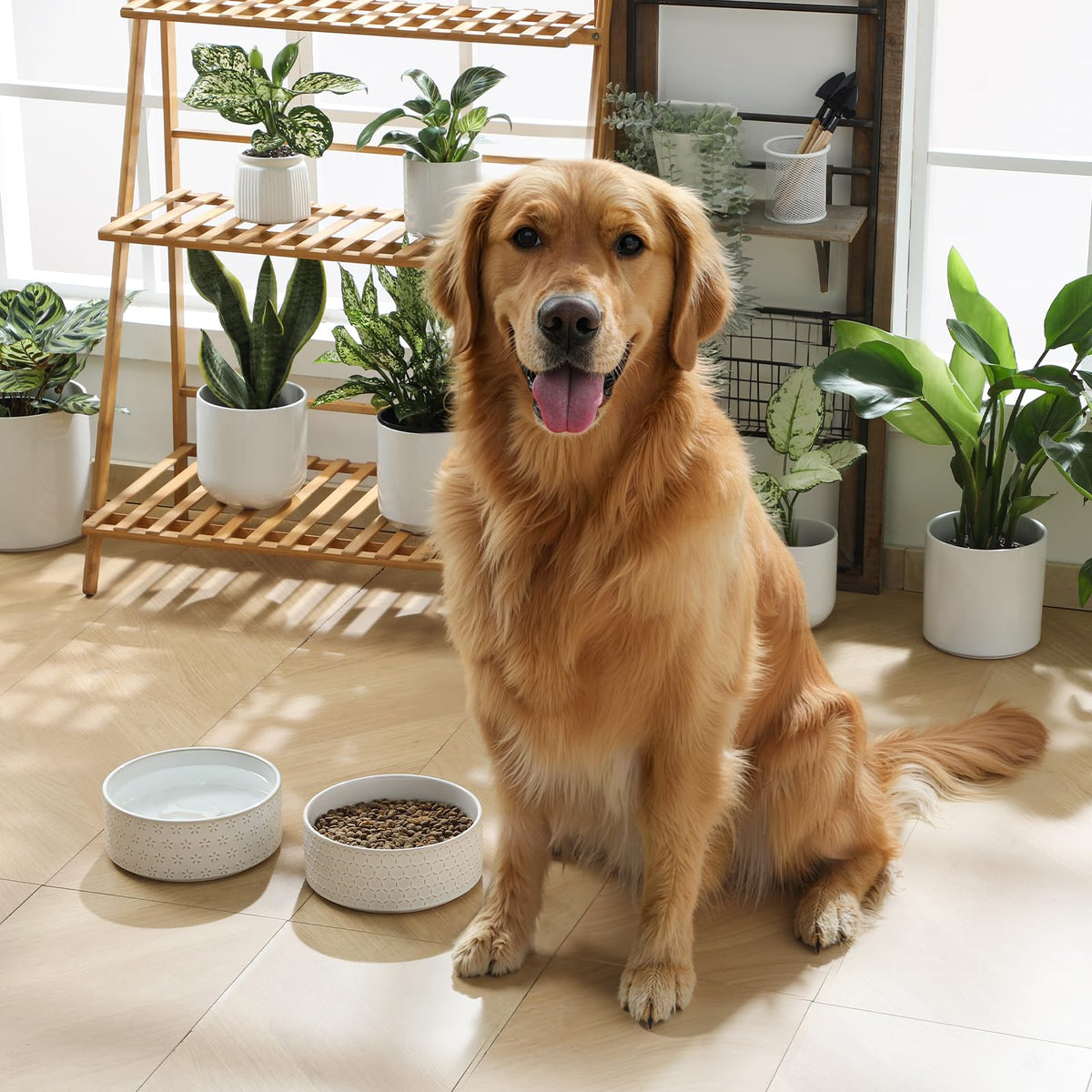 Ceramic Dog Food Bowl (Five-leaf Grass / 6 Cups)