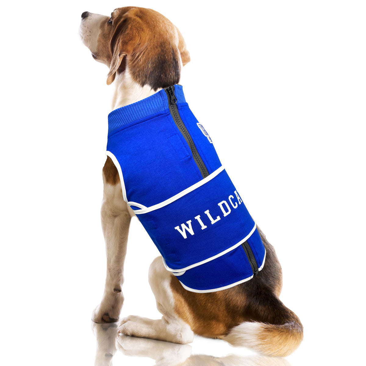NCAA Kentucky Wildcats Dog Anxiety Shirt Calming Soothing Vest for Dogs Cats with Anxiety (Medium / Kentucky Wildcats)
