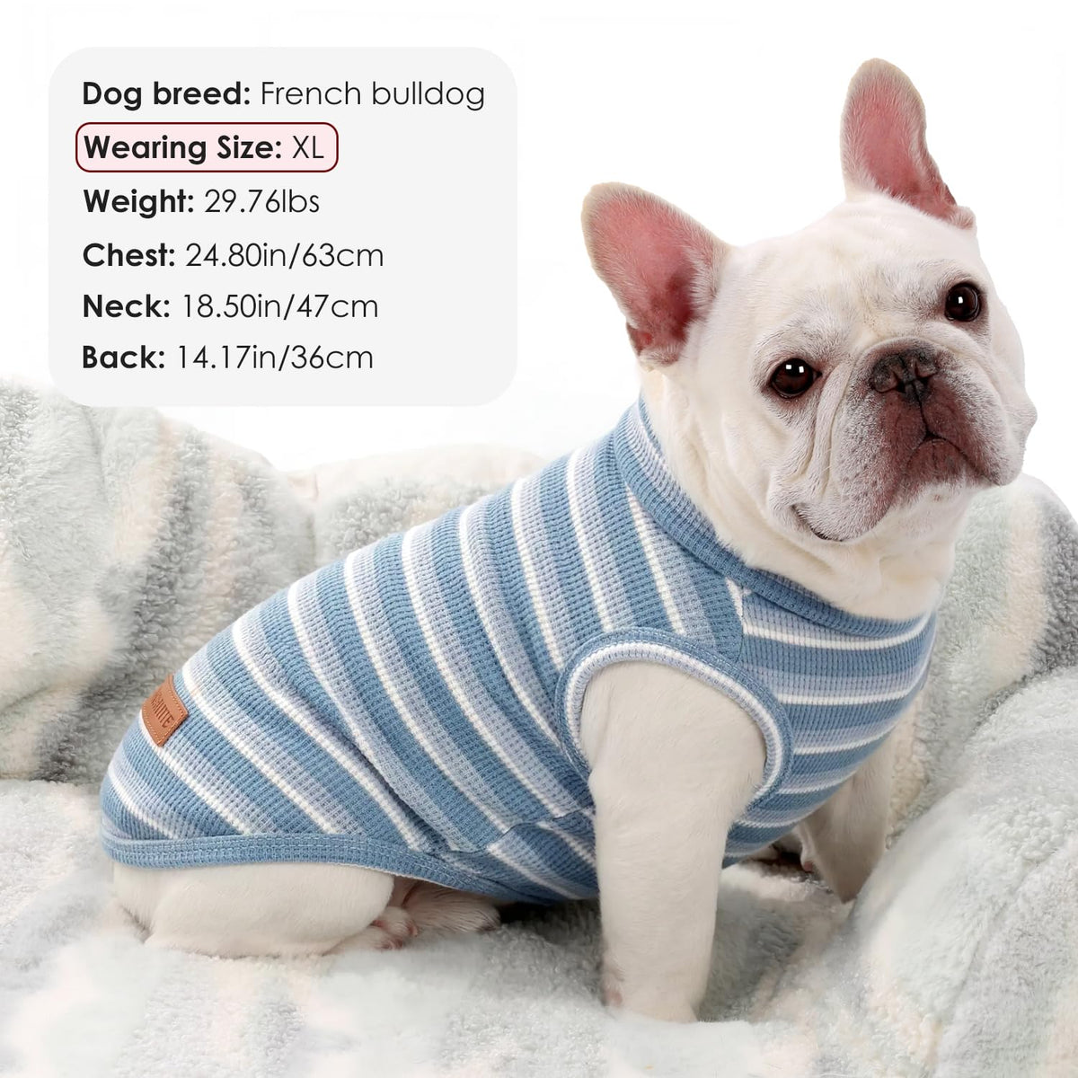 2Pack Dog Shirts Lightweight Waffle Dog Shirt for Small Dogs Sleeveless Dog Shirt for Small Medium Boy Girl Dogs Cozy & Breathable Pet Vest (S(Back: 11.8", Chest: 15.7", 5.5-8.8lbs) / Striped+Iron Blue)