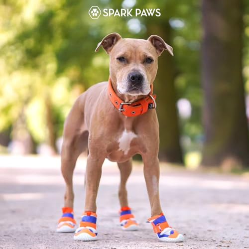 365 Dog Shoes (Orange Blue / Size 5: 2.4"x2.76"(W*L) (Pack of 4))