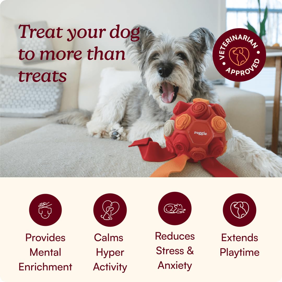 Snuffle Ball for Dogs (Forager Ball - Red)