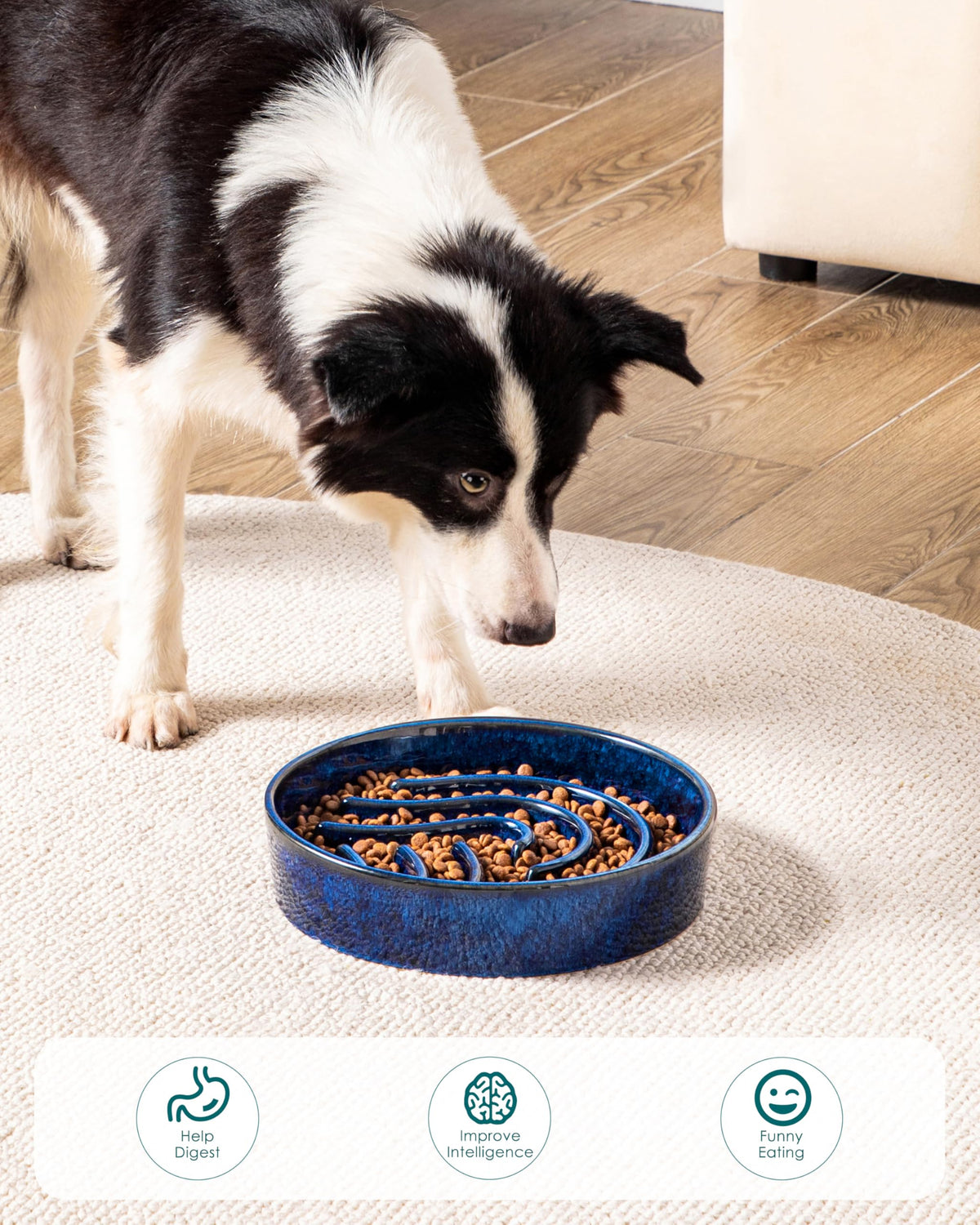 Slow Feeder Dog Bowl (Blue / 3 Cups)