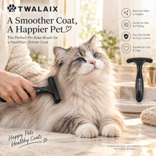 Pet Grooming Brushes Kit
