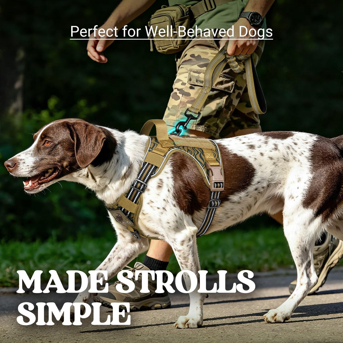 Tactical Dog Harness for Large (Brown Desert / Medium)