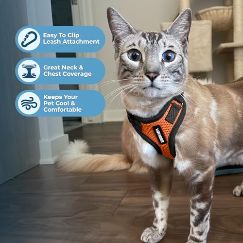 Voyager Step in Lock Cat Harness & Leash Set (Orange/Black Trim / XXS (Chest: 11.5 - 14"))
