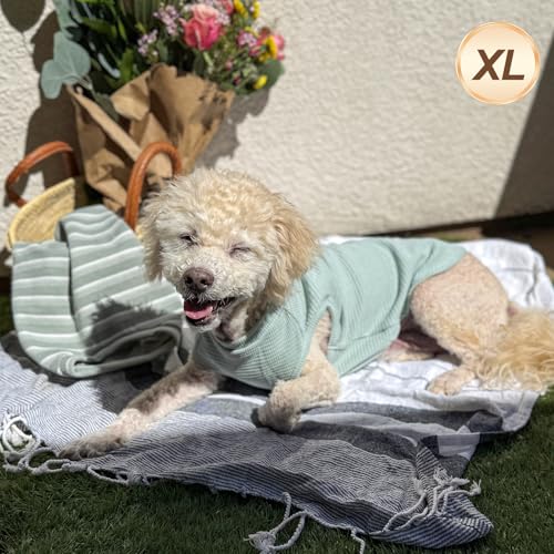 2Pack Waffle Dog Shirt for Small Medium Dogs Solid Dog Sweater (X-Large (19-27lbs) / 2Pack(Green+Grey))