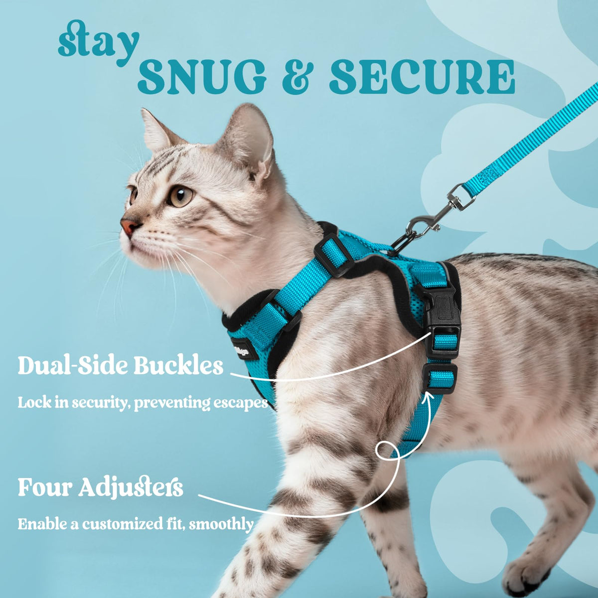 Cat Harness and Leash Set (M / Teal)