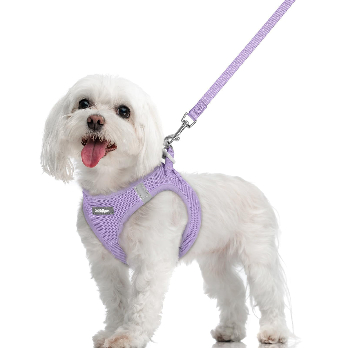 Dog Harness Medium Sized and Leash Set (Light Purple / M (chest: 16 - 18.5"))