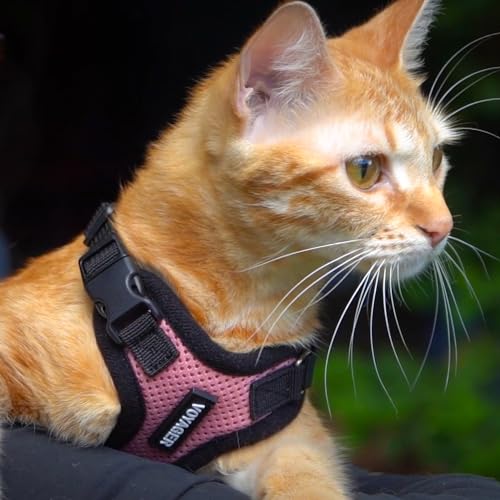 Voyager Step in Lock Cat Harness & Leash Set (Pink/Black Trim / XXXS (Chest: 10.5 - 13"))
