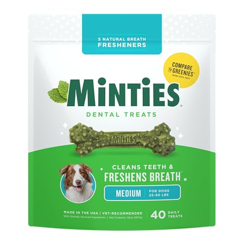 Mint Dental Chews for Dogs (Medium Dogs - 32oz)