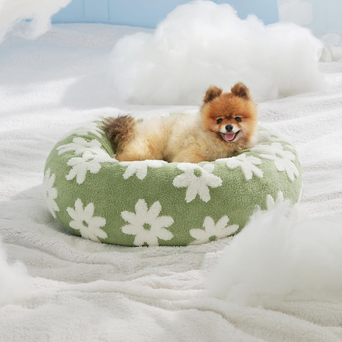 Shown on TV Jacquard Donut Cute Small Dog Beds (27.0"L x 27.0"W x 8.0"Th / Flower Garden Green)