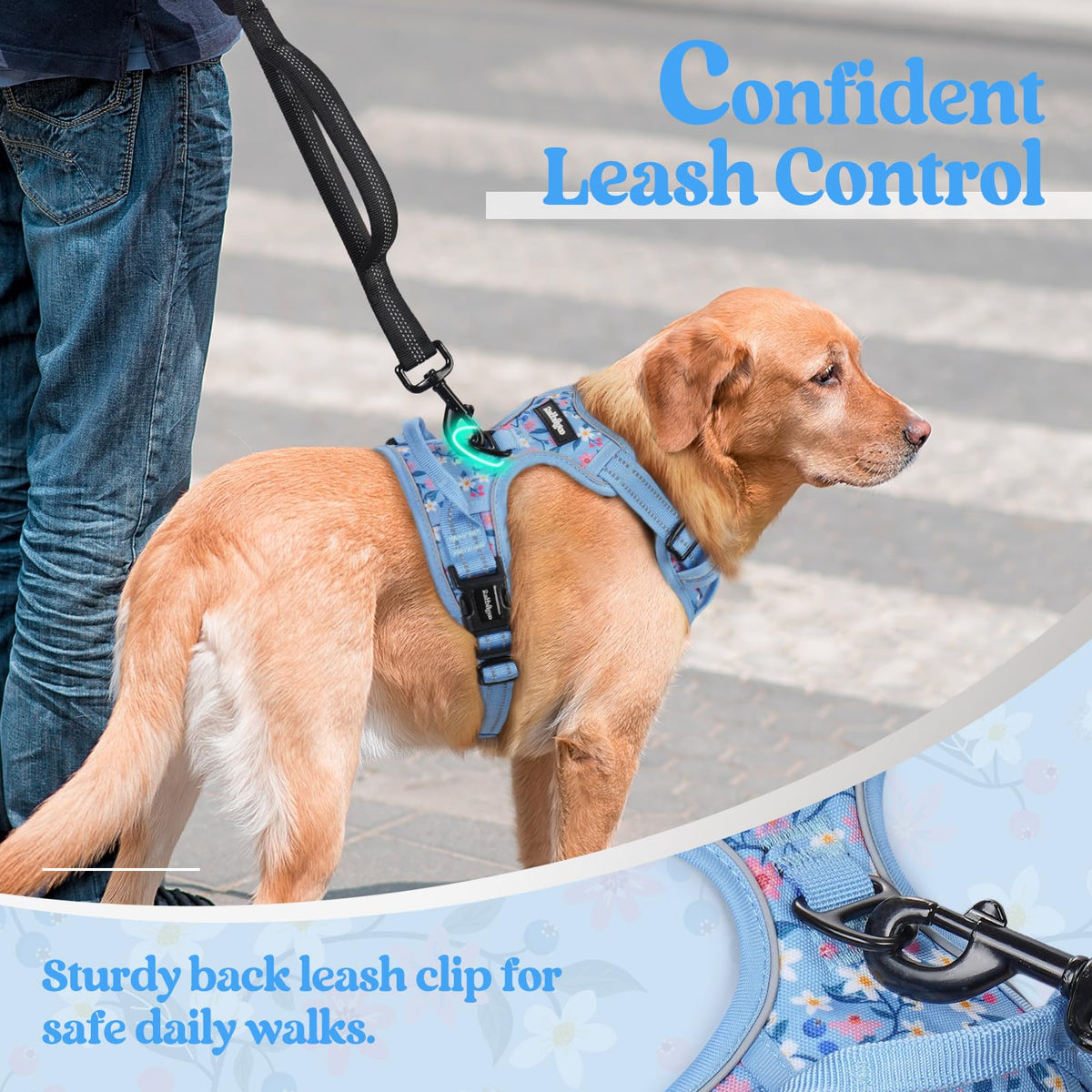 Dog Harness No Pull for Large Dogs with 2 Leash Clips (X-Large / Blue Floral)