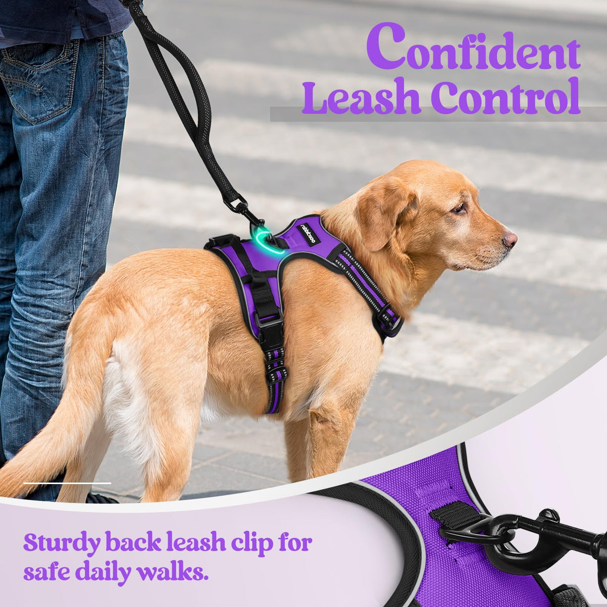 Dog Harness No Pull for Small Dogs with 2 Leash Clips (Small / Purple)