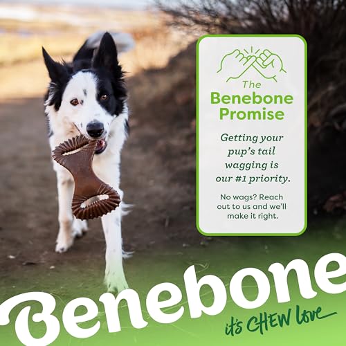 Dental Dog Chew Toy for Aggressive Chewers (REAL Chicken / Large)