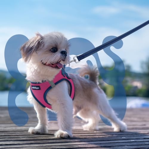 Dog Harness Small Sized and Leash Set (Rose Red & Navy Blue / S (Chest: 15.1"-16.5"))