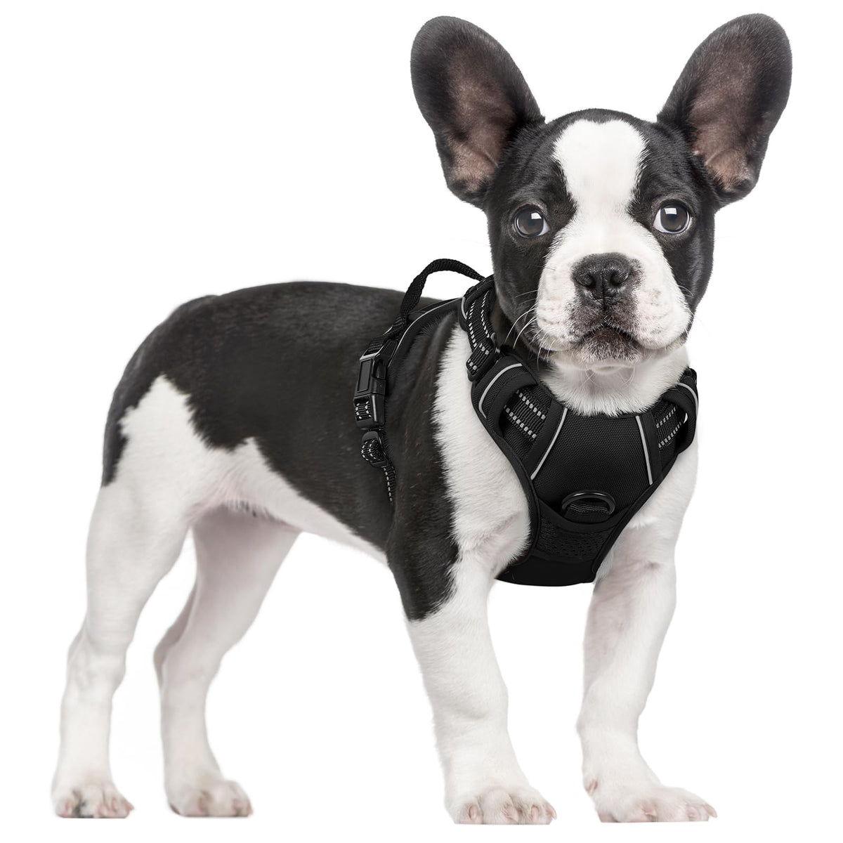 Dog Harness No Pull for Small Dogs with 2 Leash Clips (Small / Black)