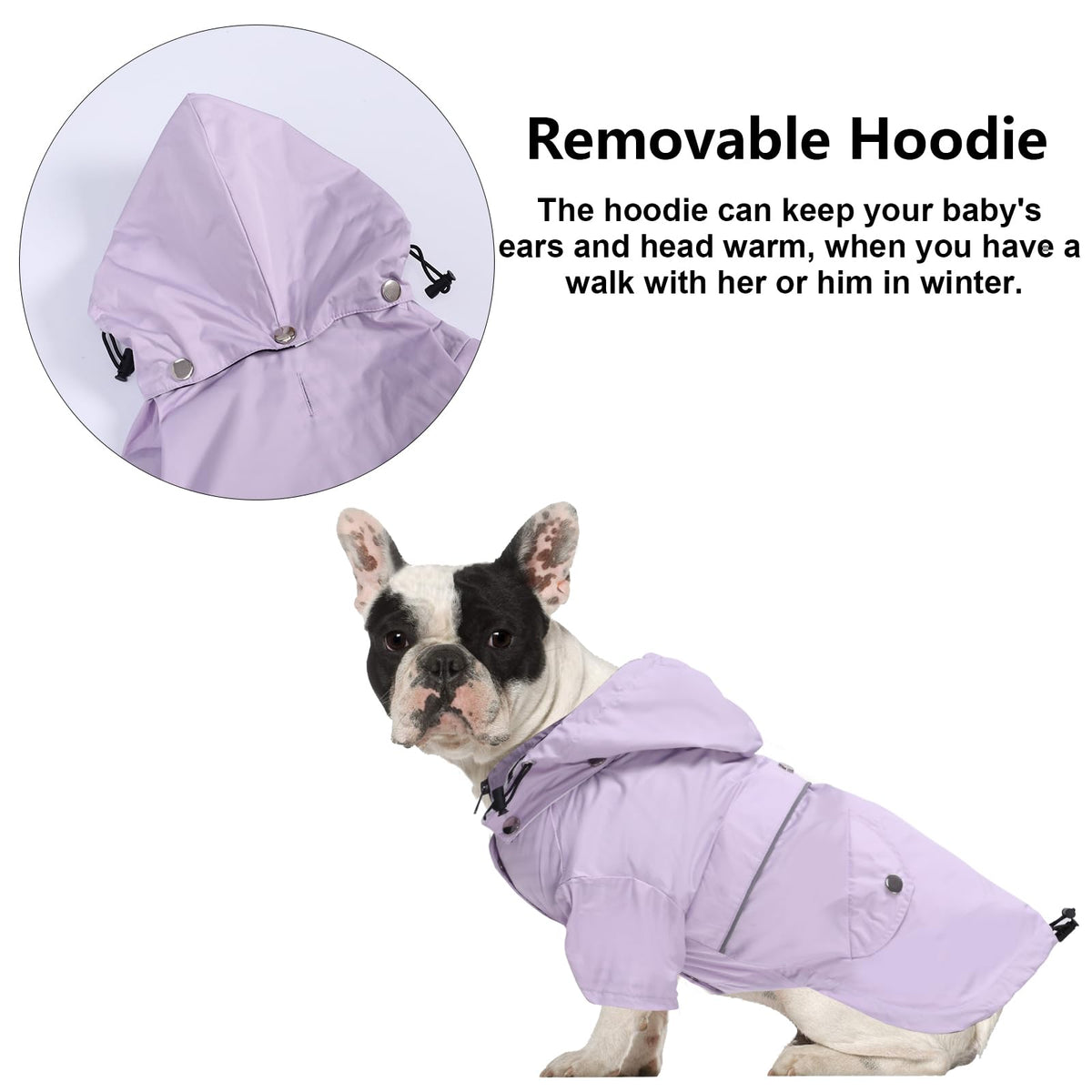 Dog Zip Up Raincoat with Reflective Buttons (X-Small / Purple)