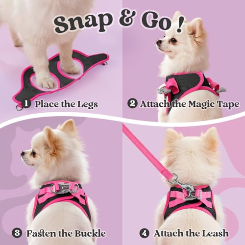 Dog Harness Small Sized and Leash Set (Black & Rose Red / XXS (Chest: 12.4"-14.2"))