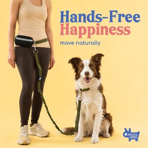 Dog Running Leash Hands Free (Olive)