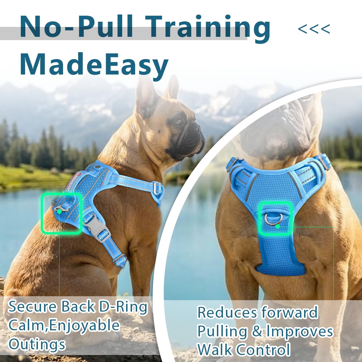 No Pull Dog Harness for Medium Sized Dogs (Blue / Medium(Chest:21.3-29"))