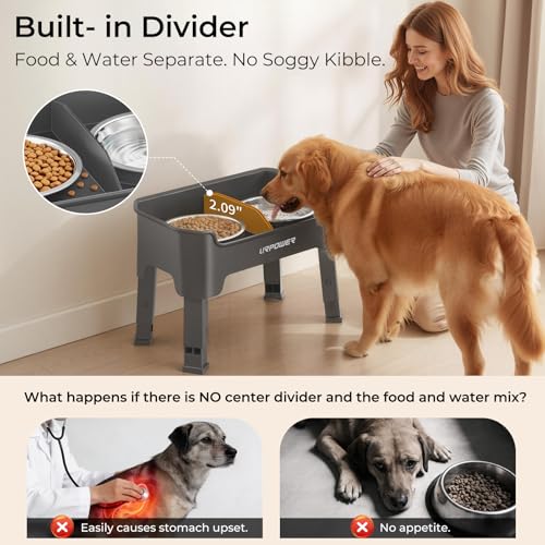 Mess Proof Elevated Dog Bowls (Grey / Medium)