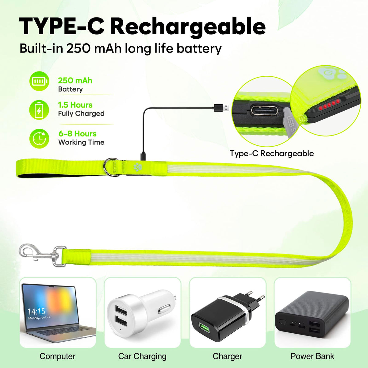4 Ft Multi Color Light up Dog Leash (Multi-Color / 4 FT (Green))
