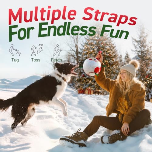 Christmas Dog Balls with Straps (Christmas 1 / 6 Inch)
