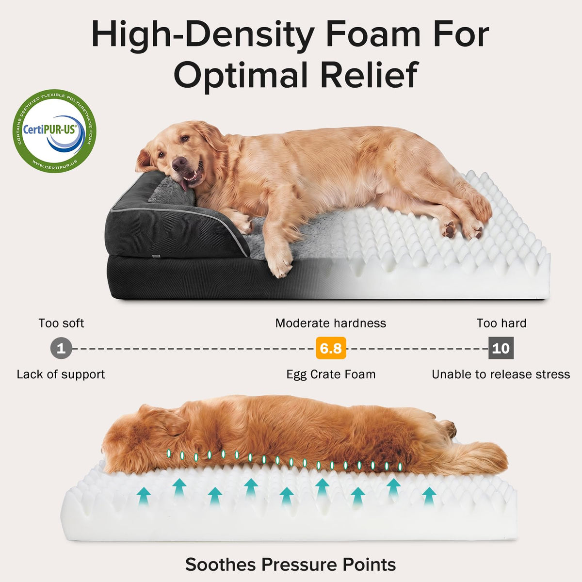 Jumbo Orthopedic Dog Bed for Extra Large Dogs (Black / XL-PLUS (45"x 32"x 7.5"))