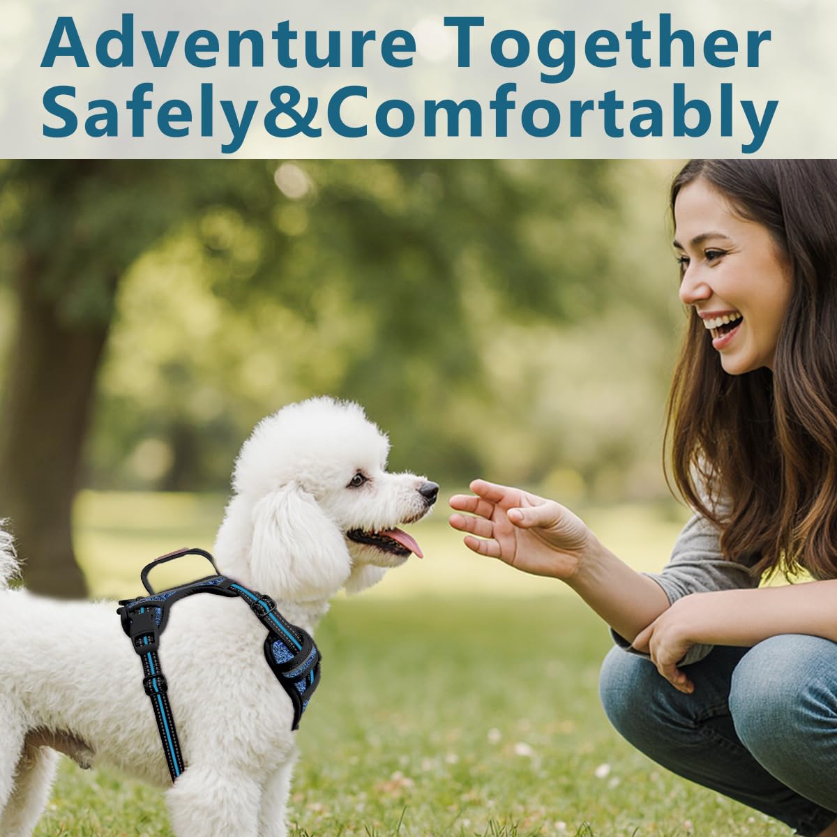 No Pull Dog Harness for Small Sized Dogs (Blue/Black / X-Small(Chest:14.6-19.6”))